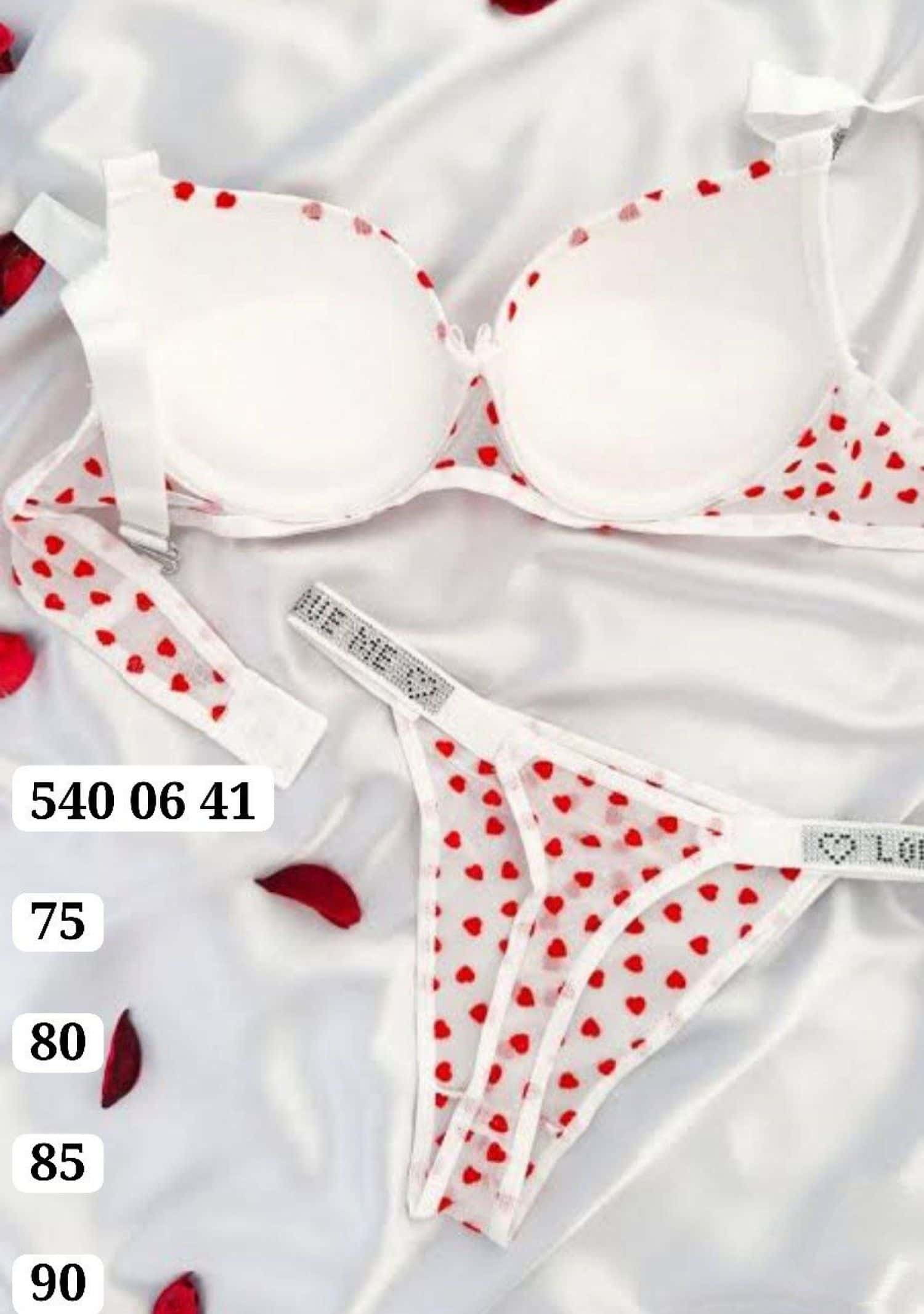 طقم ستيان فيكتوريا SR 019 3