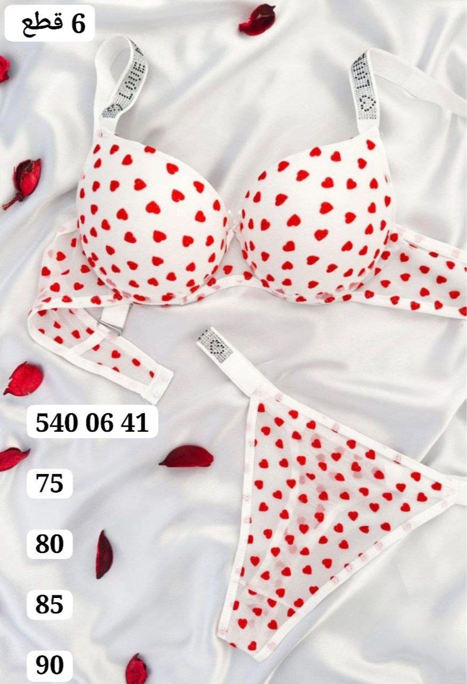 طقم ستيان فيكتوريا SR 019