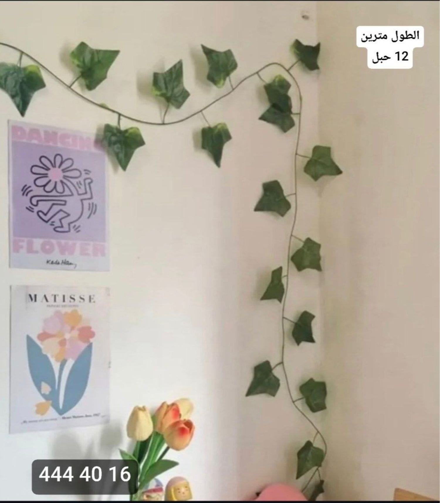 عرق اخضر زينة *12*