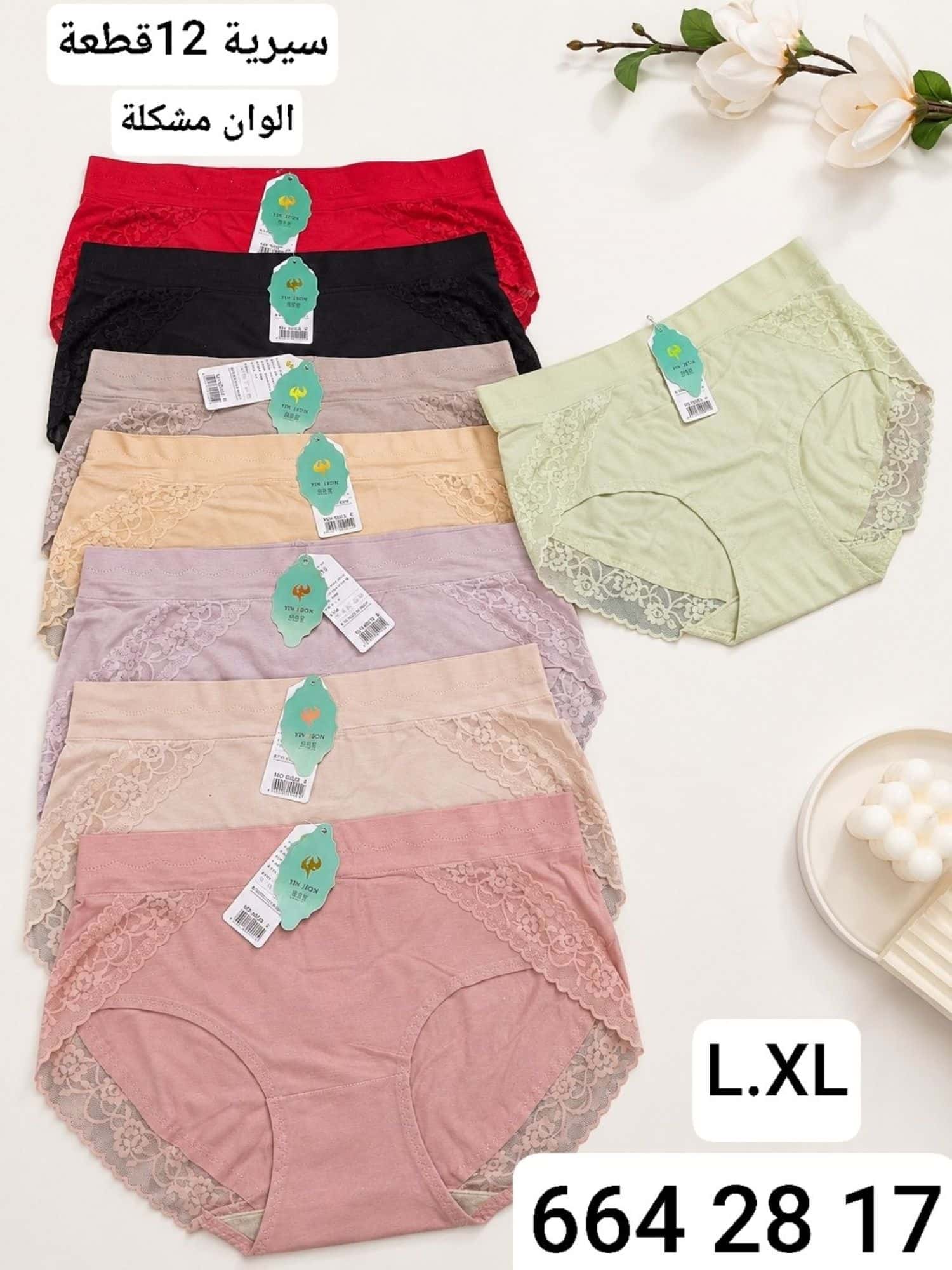 L-XL