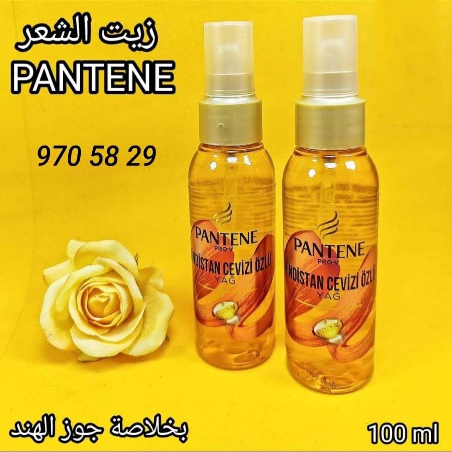 جوز الهند