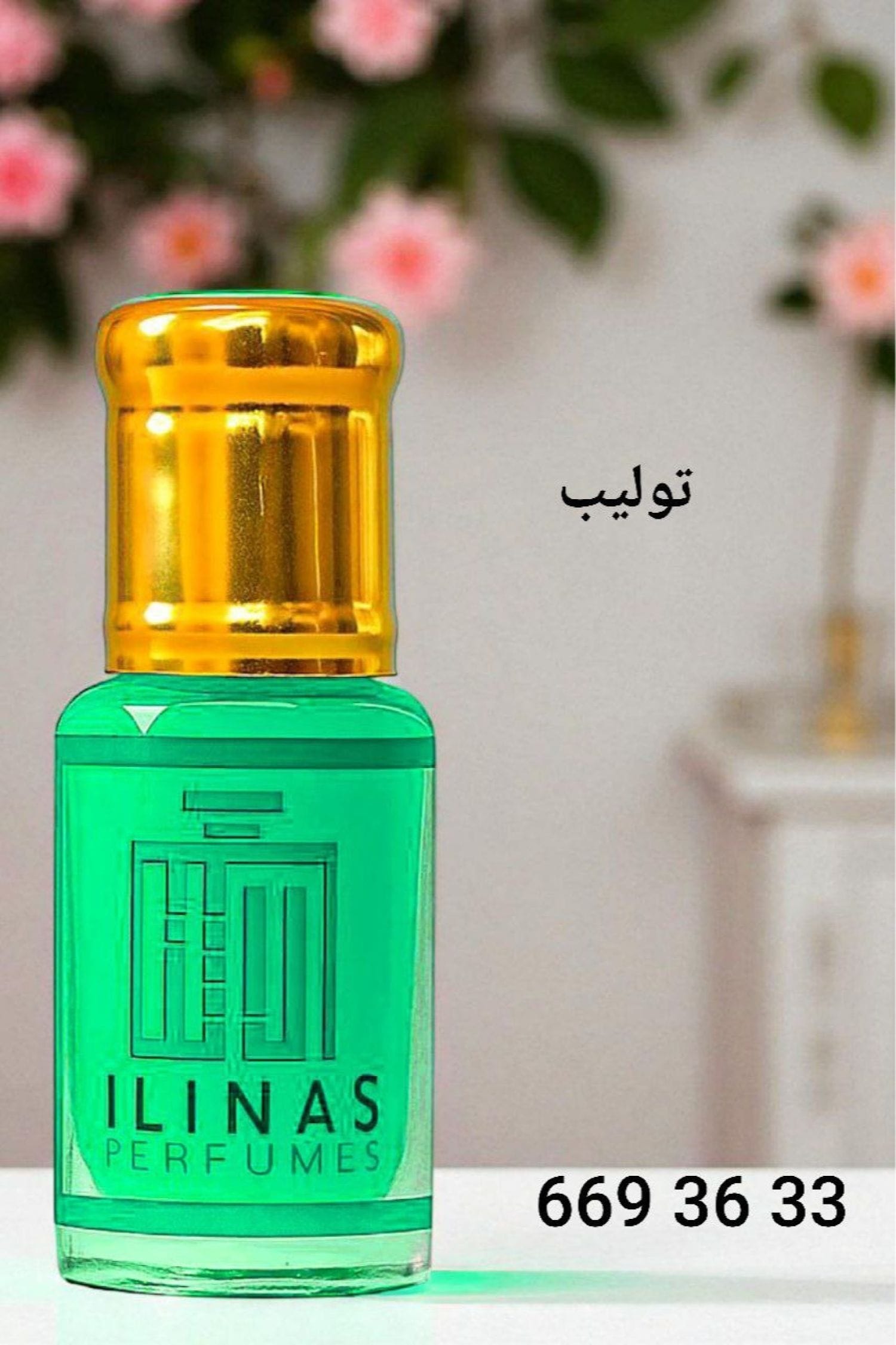 مسك الايناس